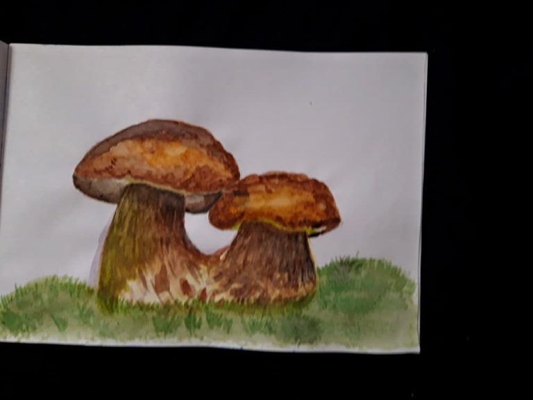 Mushrooms and synthesizer