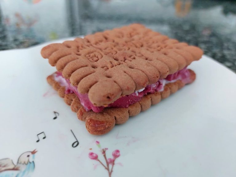 Ice cream cookie sandwich