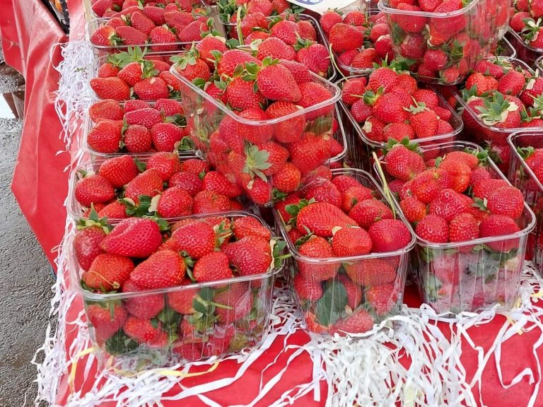 Fethiye Farmers Markets