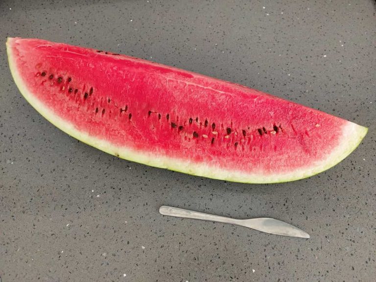 My favorite watermelon size