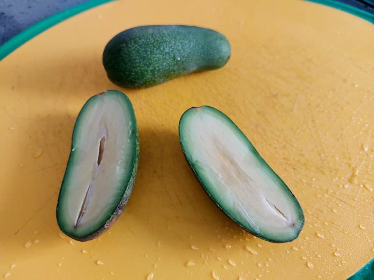 Pitted avocado