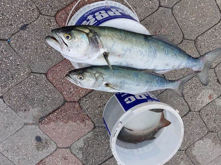 Рыбаки на набережной