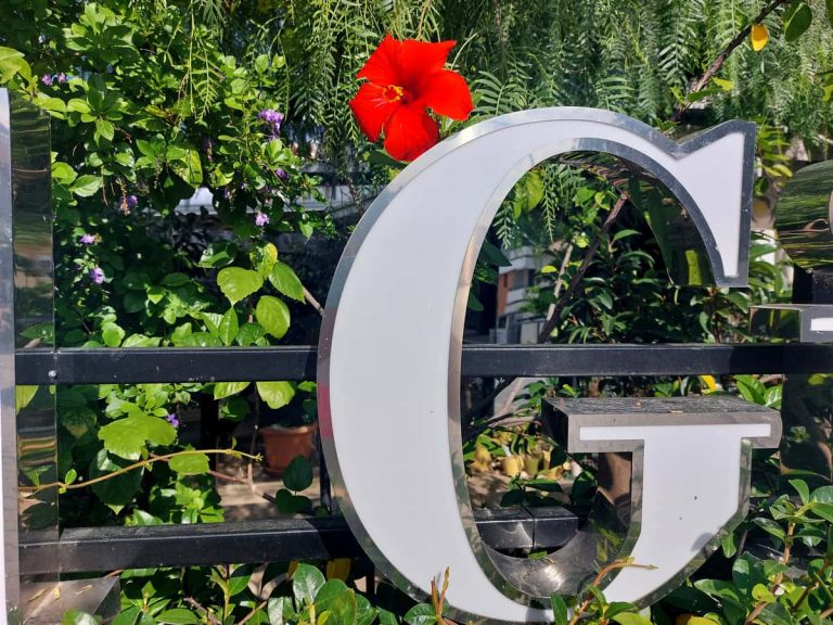 Цветы ноября