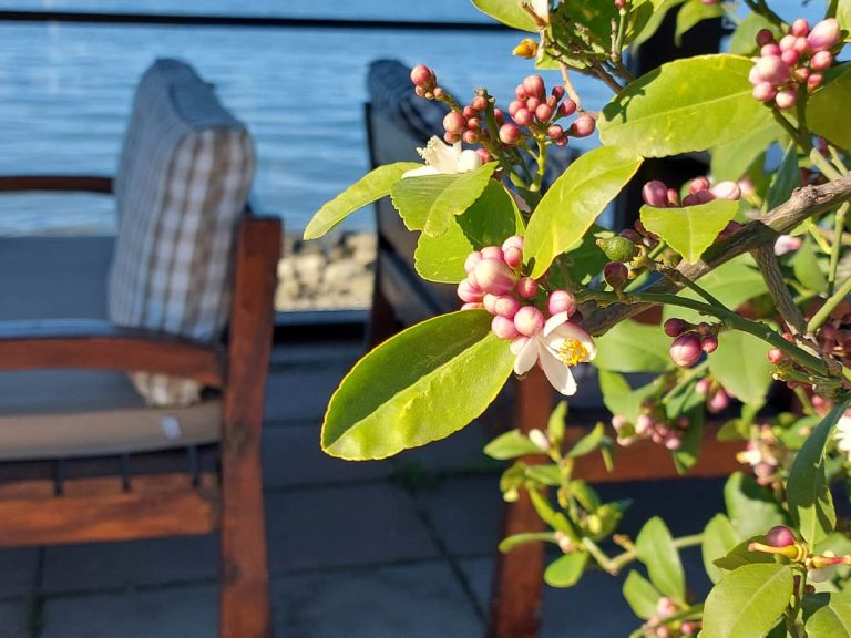 Средиземноморский январь